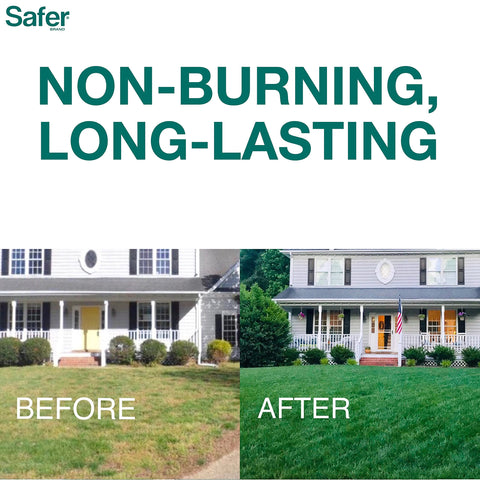 Root boost visualization from Safer Brand Lawn Restore improves root health.