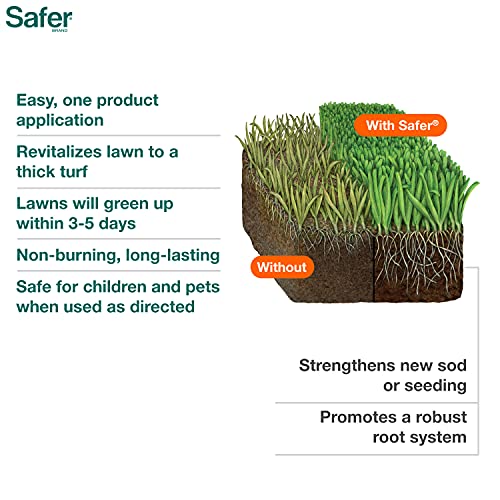 Safer Brand Lawn Restore helps repair thinning areas and promote healthy turf.