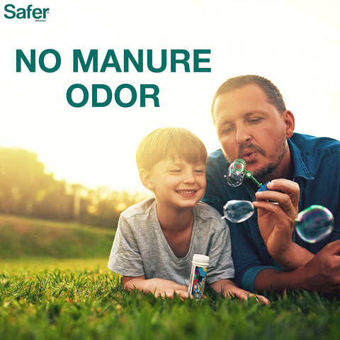 Year-round performance of Safer Brand Lawn Restore for resilient lawn care.