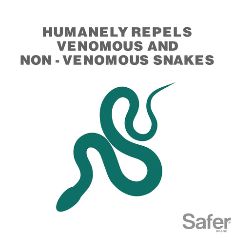 Closeup of Snake Shield granules ready to scatter for deterrence