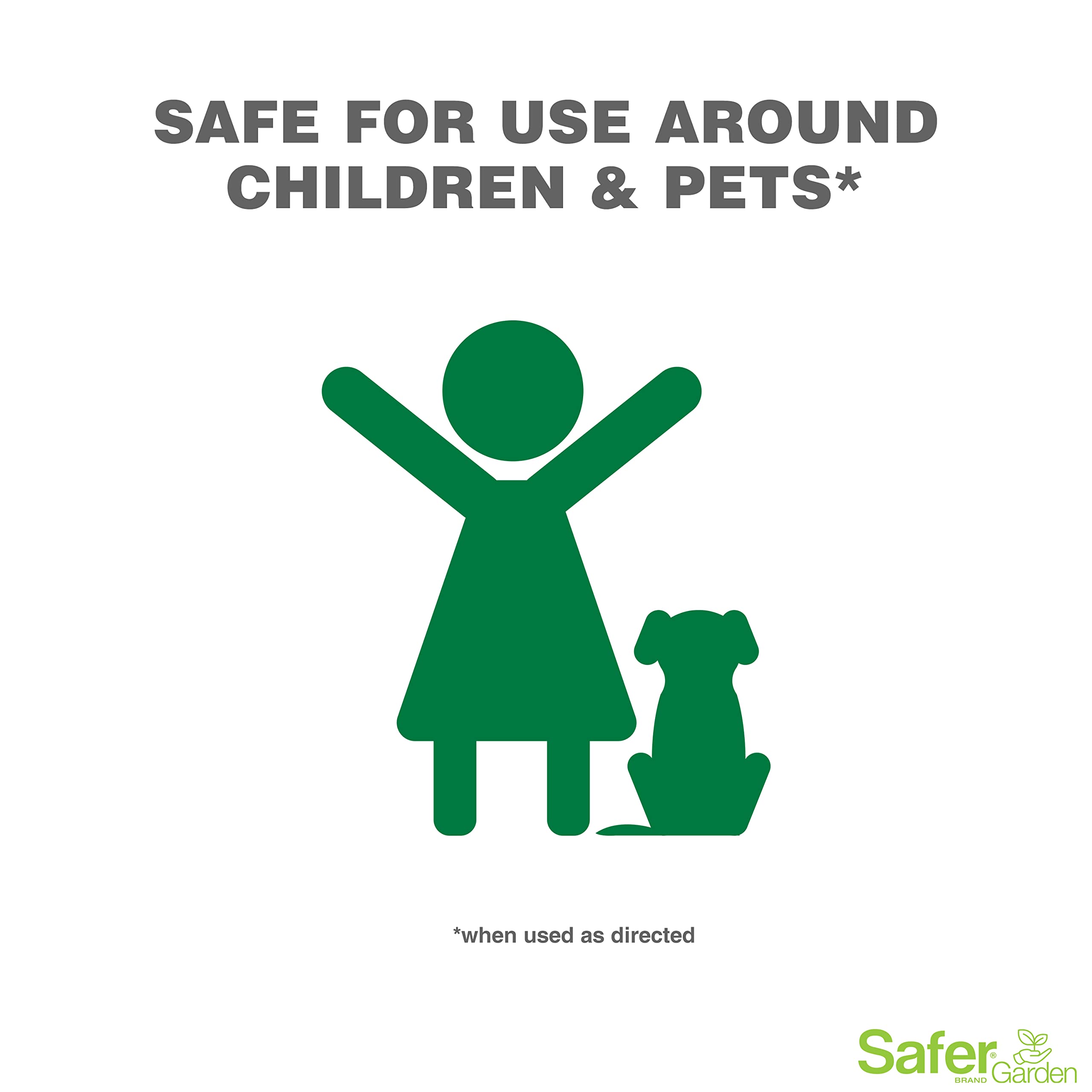 Roses and leaves receive Safer Brand spray for gentle garden care.
