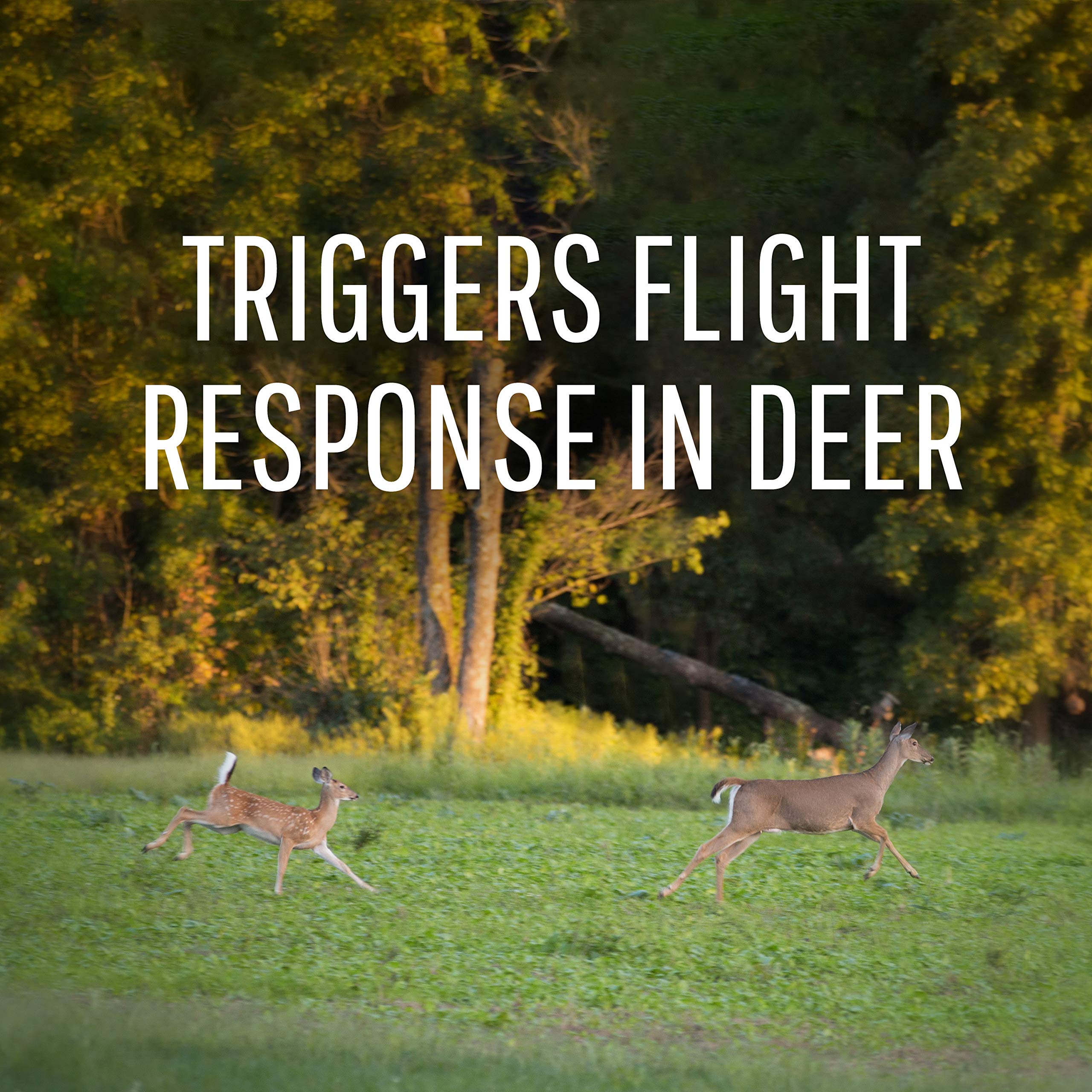 Safer Brand Deer-Off station hanging from a fence to deter deer