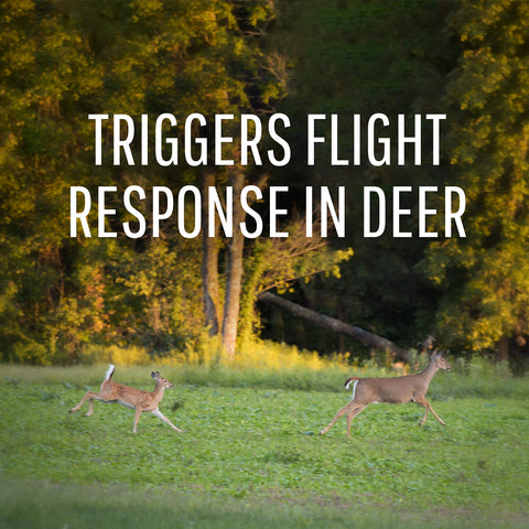 Safer Brand Deer-Off station hanging from a fence to deter deer