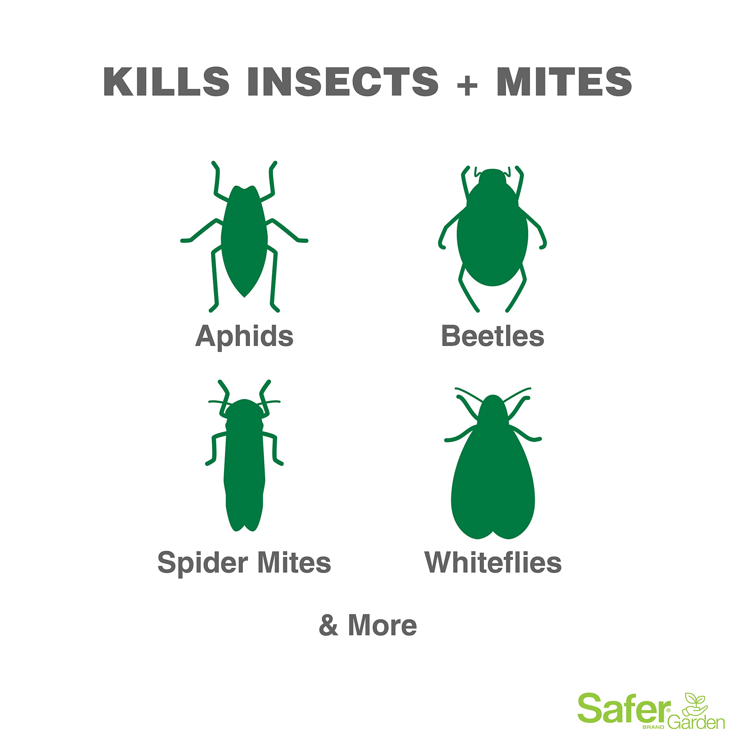 Safer Garden 3-in-1 spray on leaves shows even coverage.