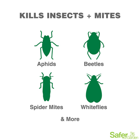 Safer Garden 3-in-1 spray on leaves shows even coverage.