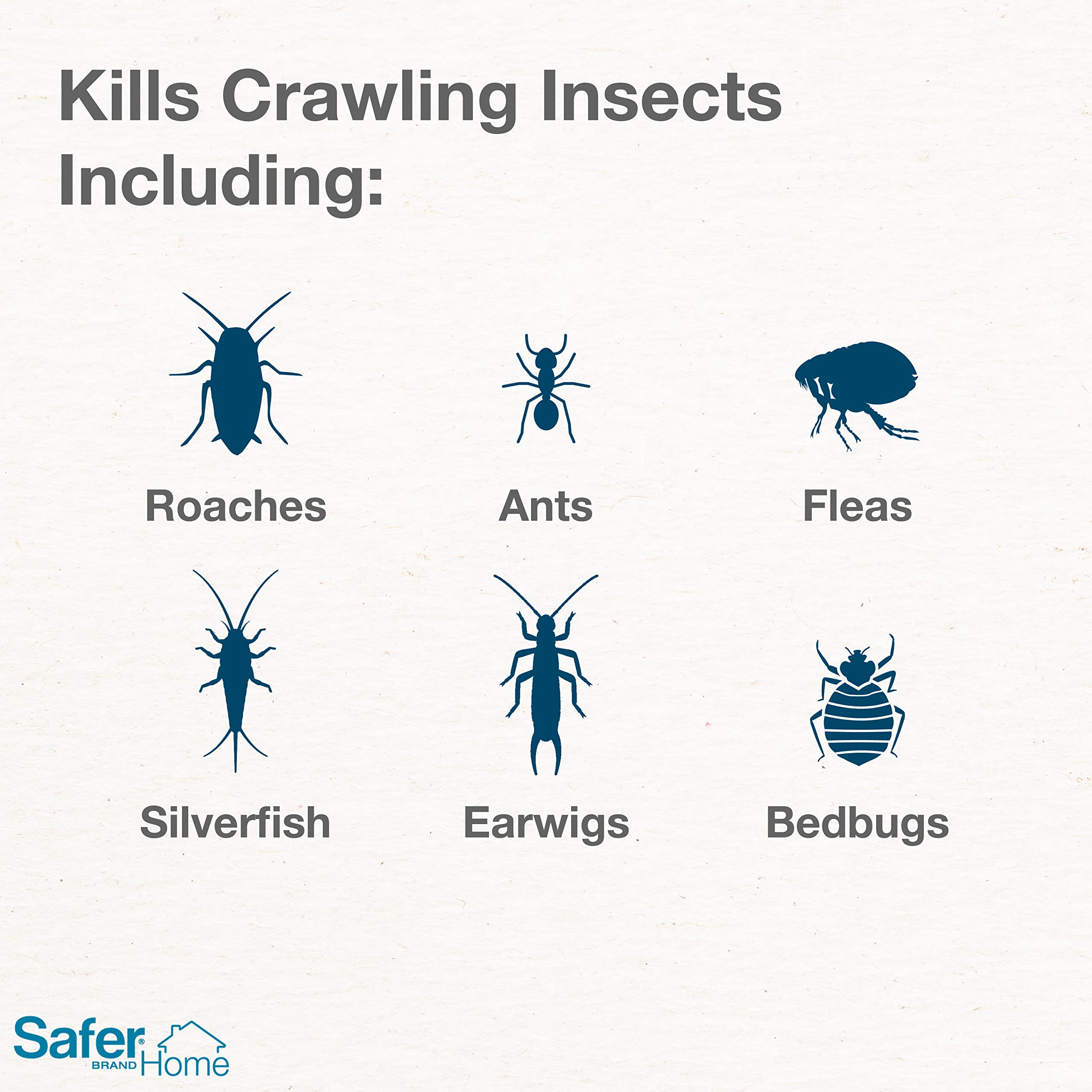 Safer Home ant and crawling insect killer dusting ants in cracks.