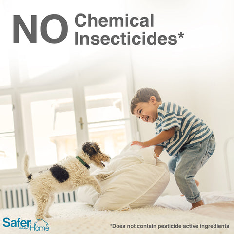 Safer Home Houseplant Stake inserted into soil for discreet pest control.