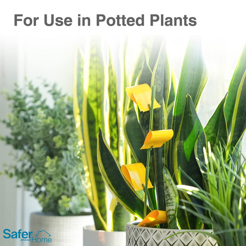 Compact, discreet design keeps traps concealed among leaves for neat appearance