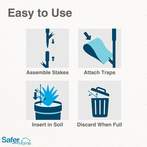 Traps full and replaced easily for ongoing protection