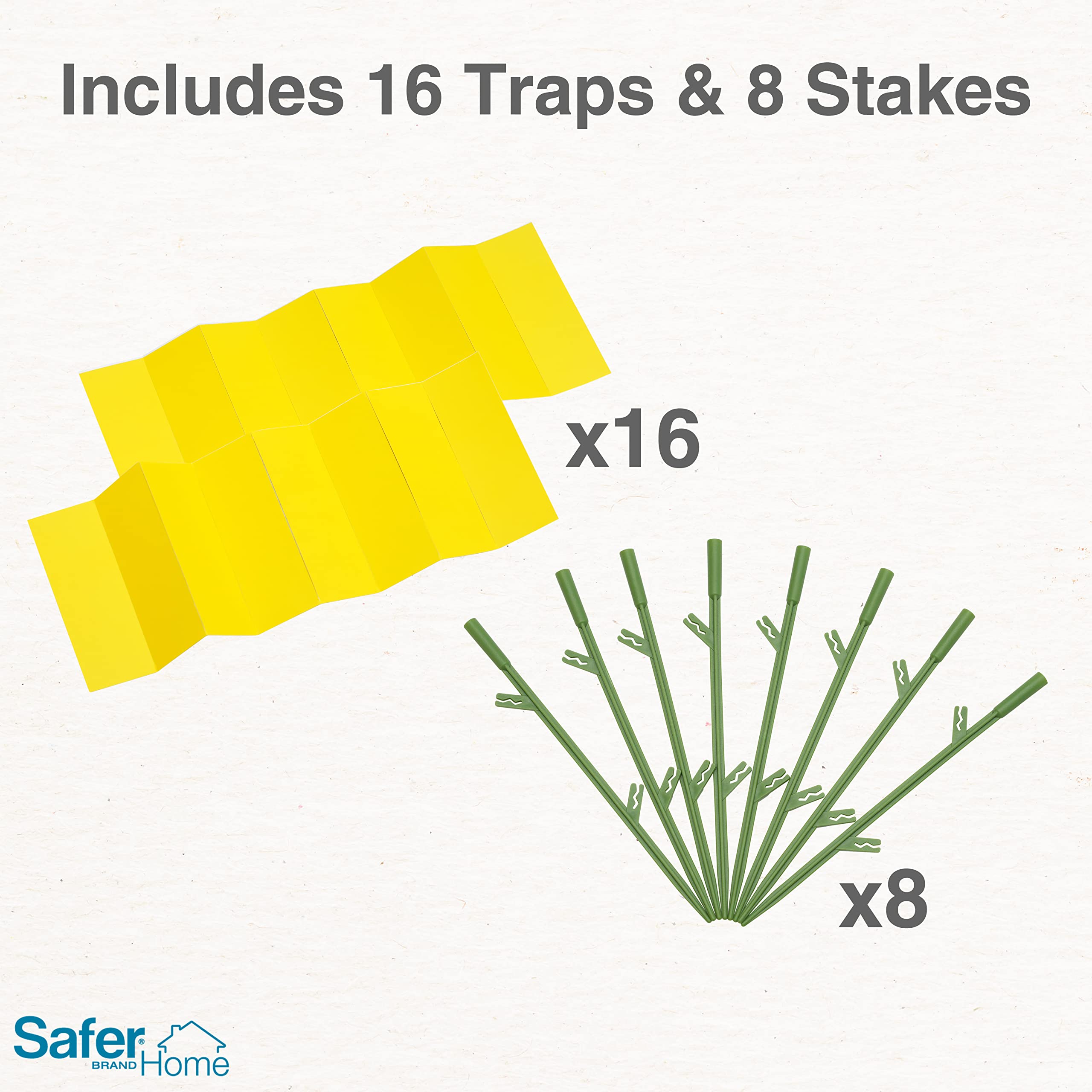 Safer Home Houseplant in use with traps around the base.