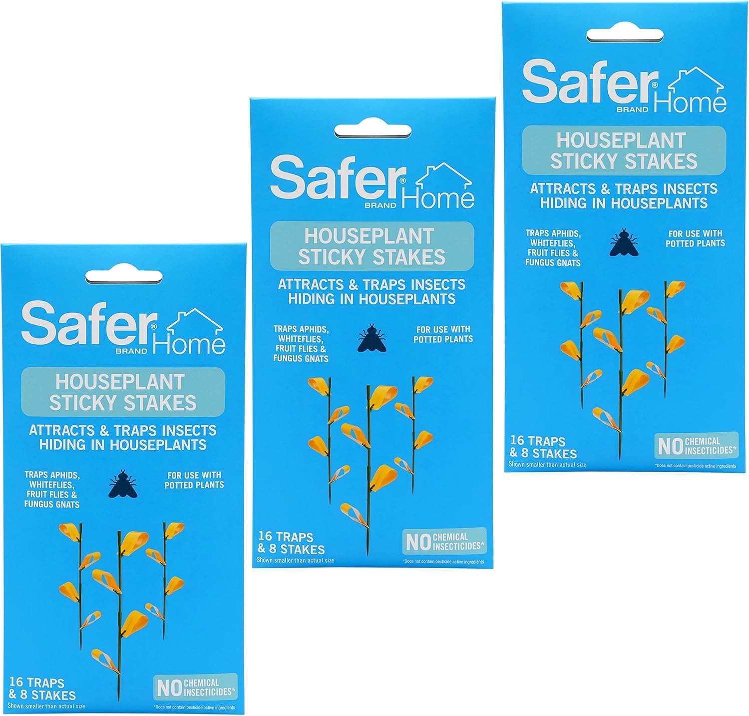 Safer Home Replacement traps keep indoor plants pest-free longer.
