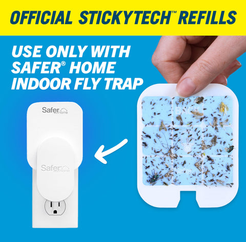 Safer Home SH506 glue card refill in action catching flies without chemicals.