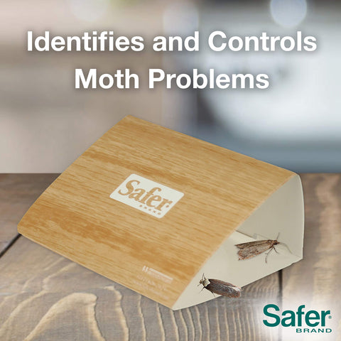 Safer pantry moth trap multi room setup demonstrating complete coverage.