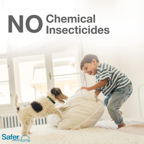 Safer SH400SR traps, placement along baseboards to catch crawling insects.
