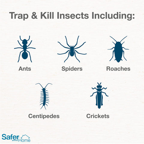 Safer SH400SR traps, flat layout, larger catching area for living rooms.
