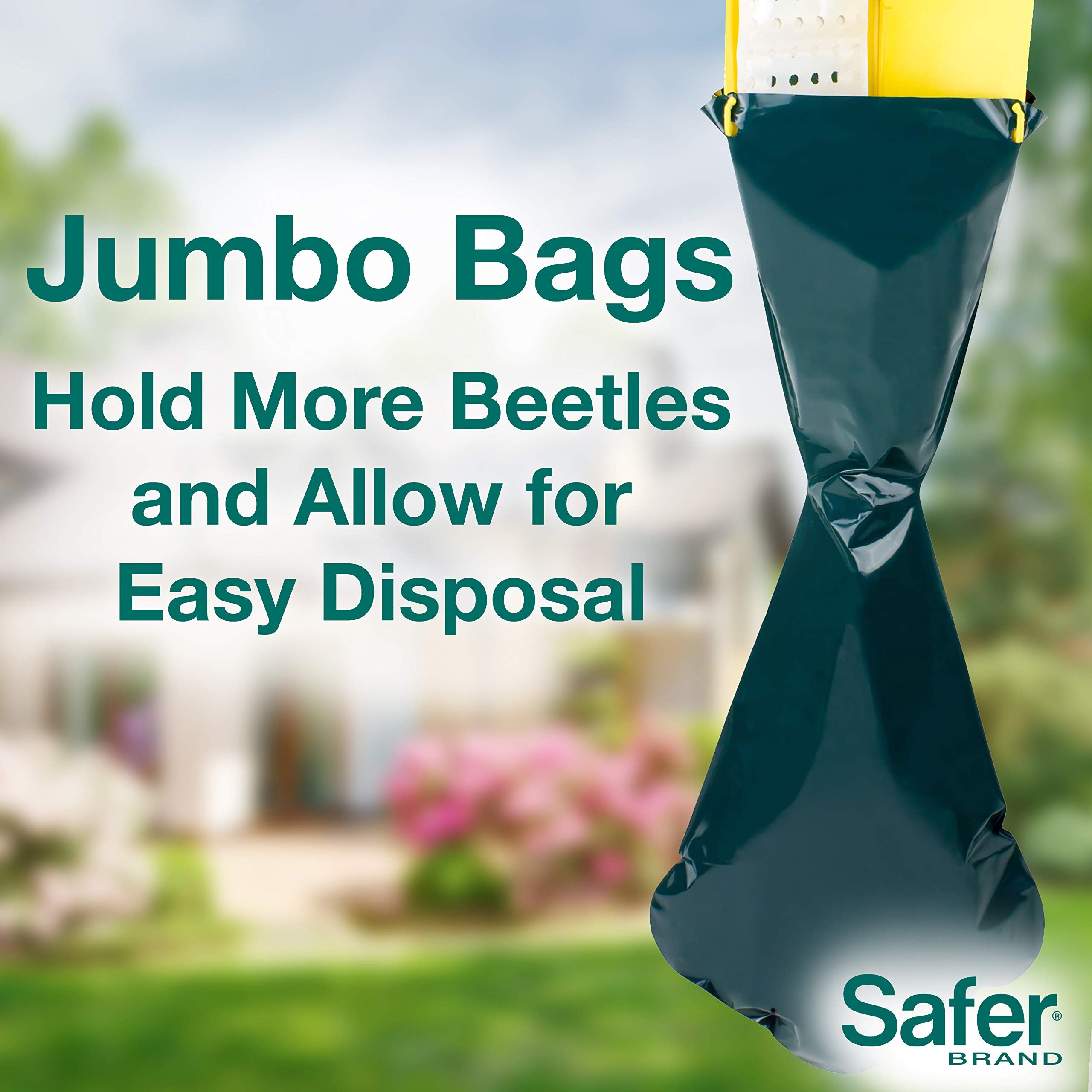 Safer trap installed in garden to reduce defoliation risk.