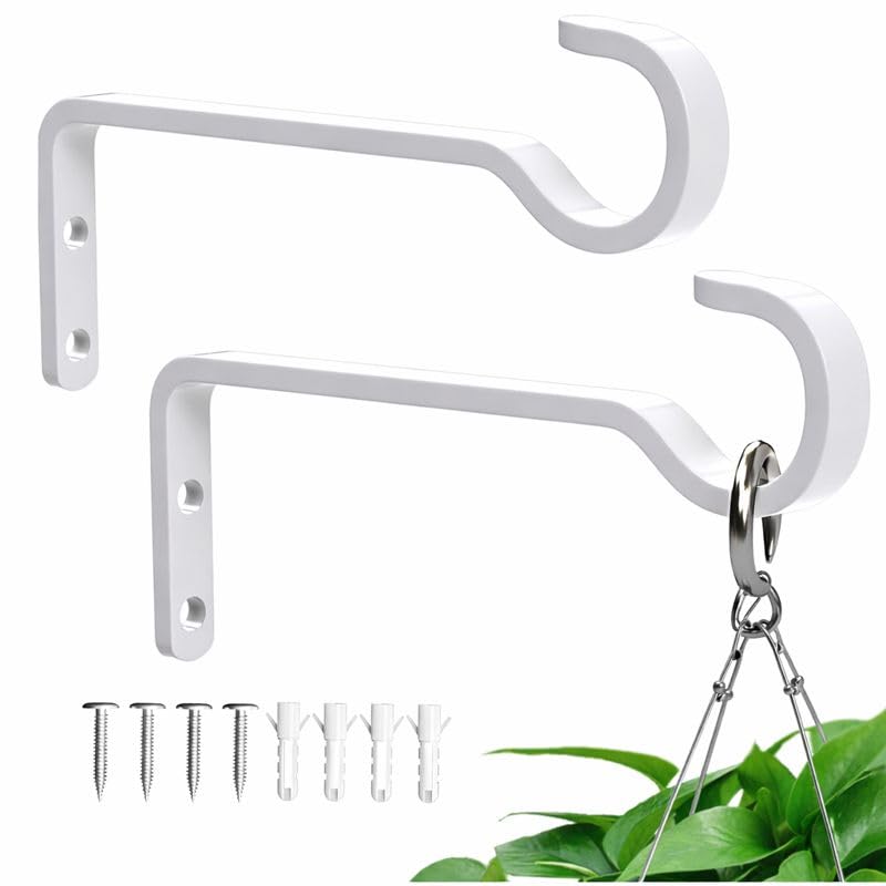 Saffruff 6in hanging hanger 2-pack for small planters and decor
