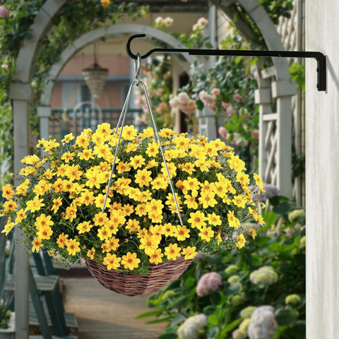Saffruff black iron wall hook, durable 20kg capacity for plants and decor.