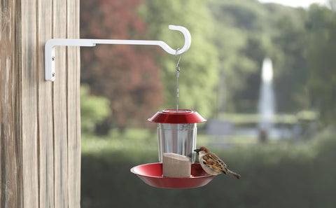 Saffruff hanging lantern support for decorative outdoor lighting