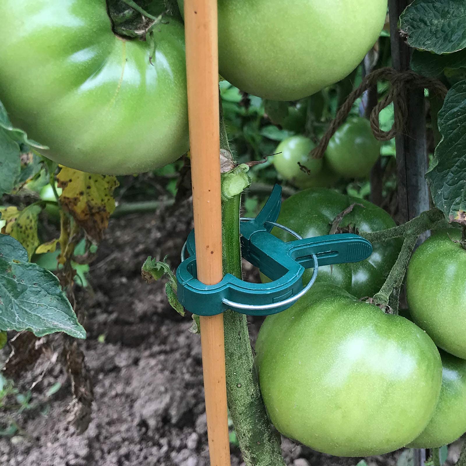 Zinc-plated, waterproof Sago Brothers clips withstand outdoor weather