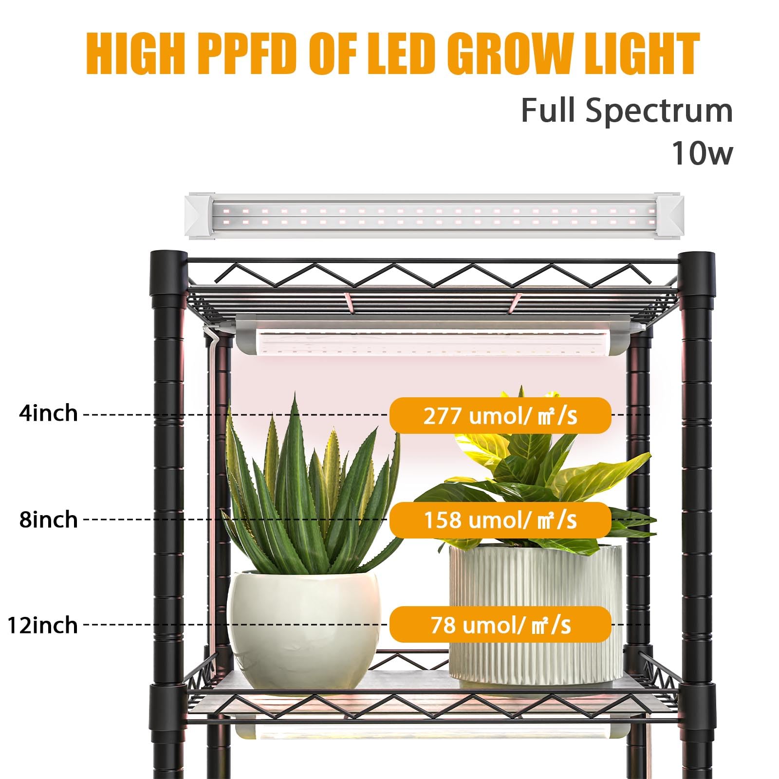 Sagrynfp full-spectrum 40W grow lights for versatile plant growth.
