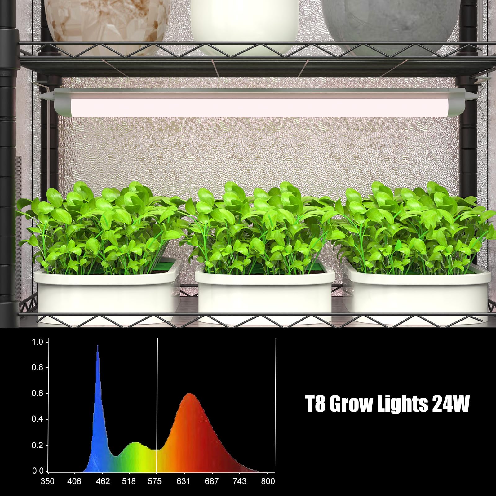 Sagrynfp observation window provides clear monitoring of plant progress.