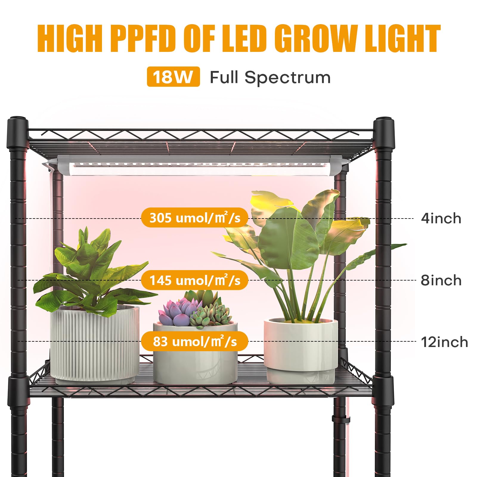 Sagrynfp transparent PVC lid provides easy access while monitoring plant progress.