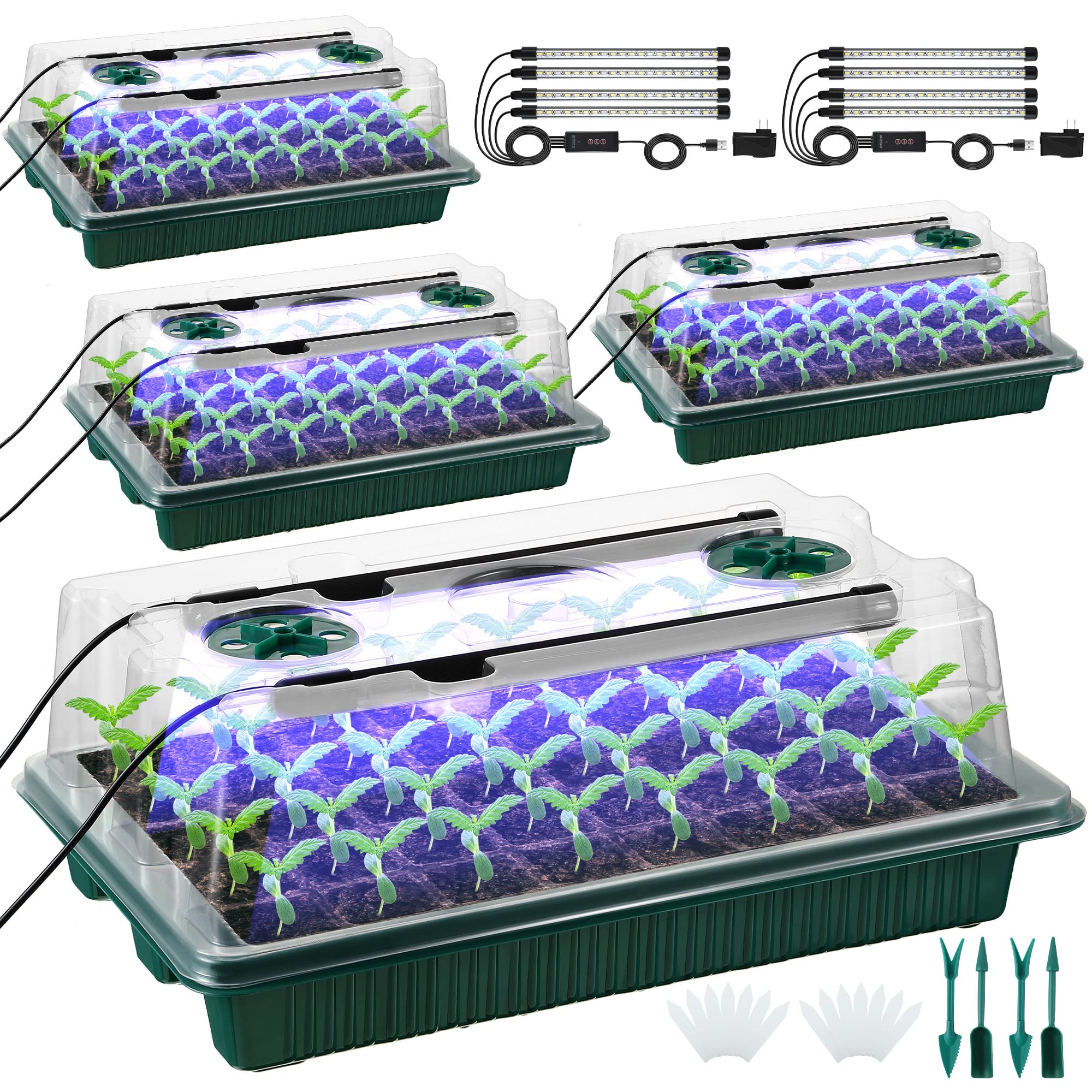 Saillong seed starter tray with grow light supports efficient germination for home gardens