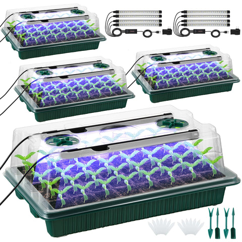 Saillong seed starter tray with grow light supports efficient germination for home gardens