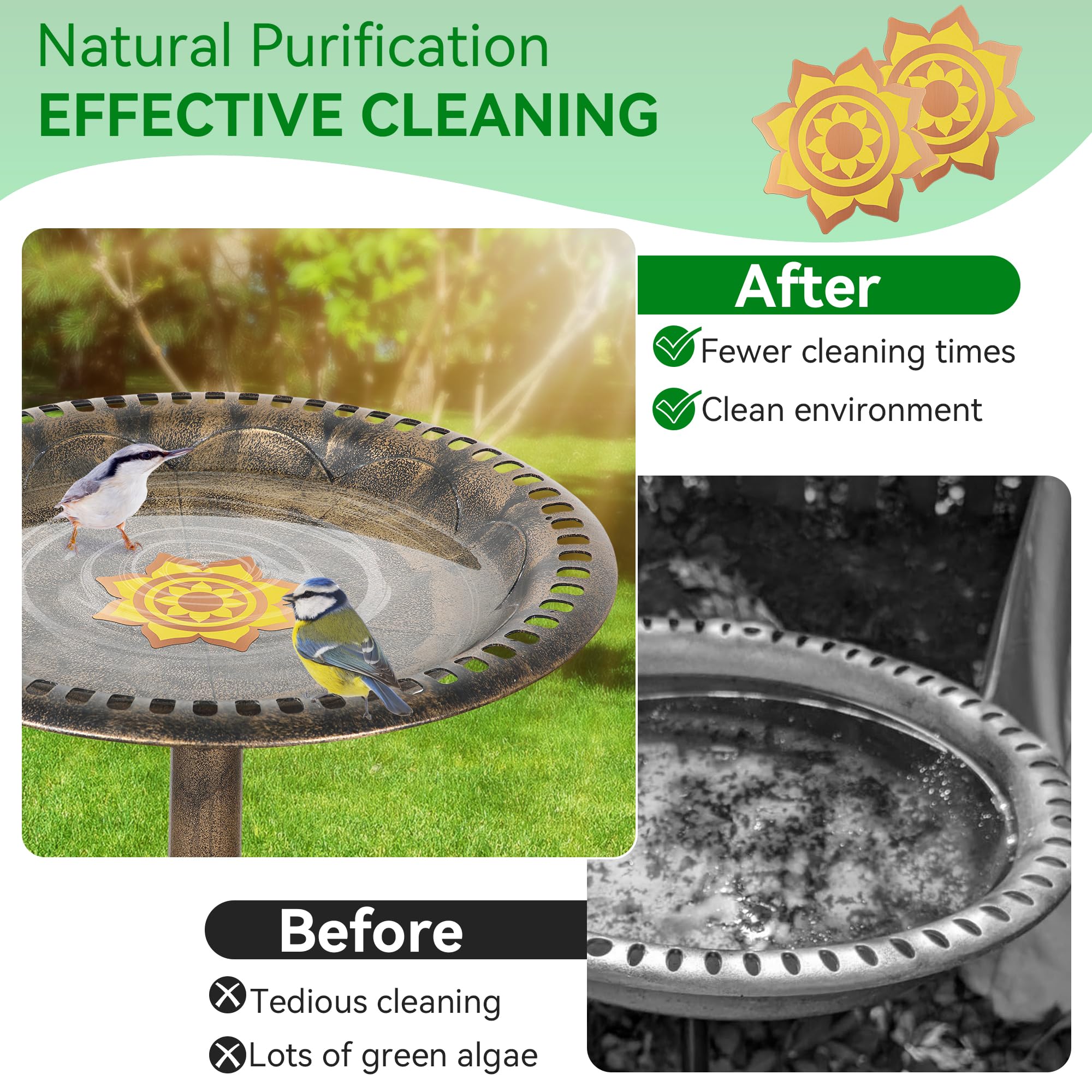 Saillong 99.99% pure copper disk purifying water in bird baths.
