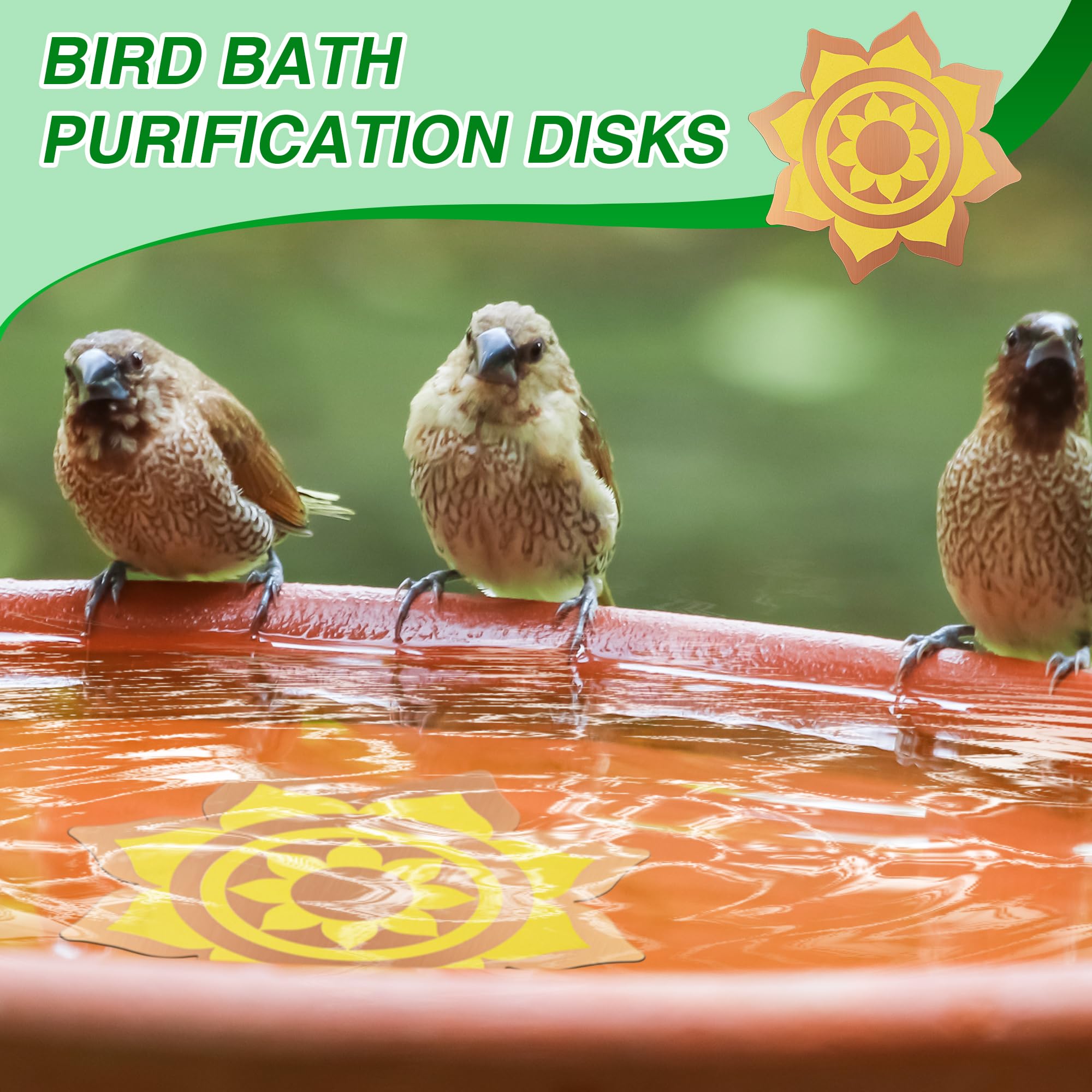 Saillong all-season bird bath disk remains effective in varying weather.