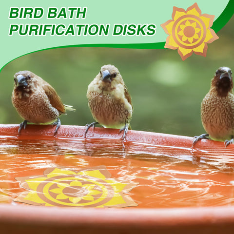 Saillong all-season bird bath disk remains effective in varying weather.