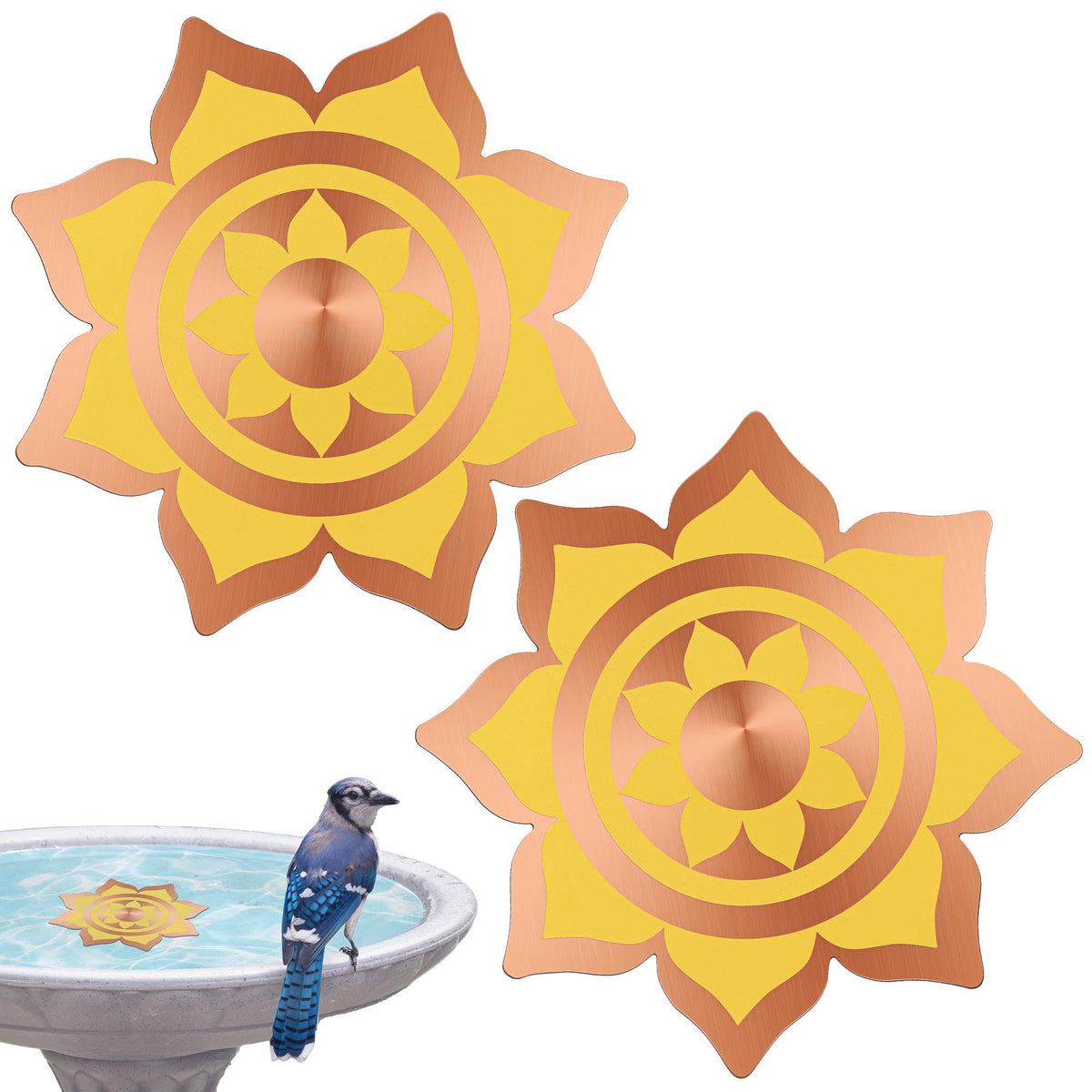 Saillong two-pack copper bird bath disks with petal design for cleaner water.