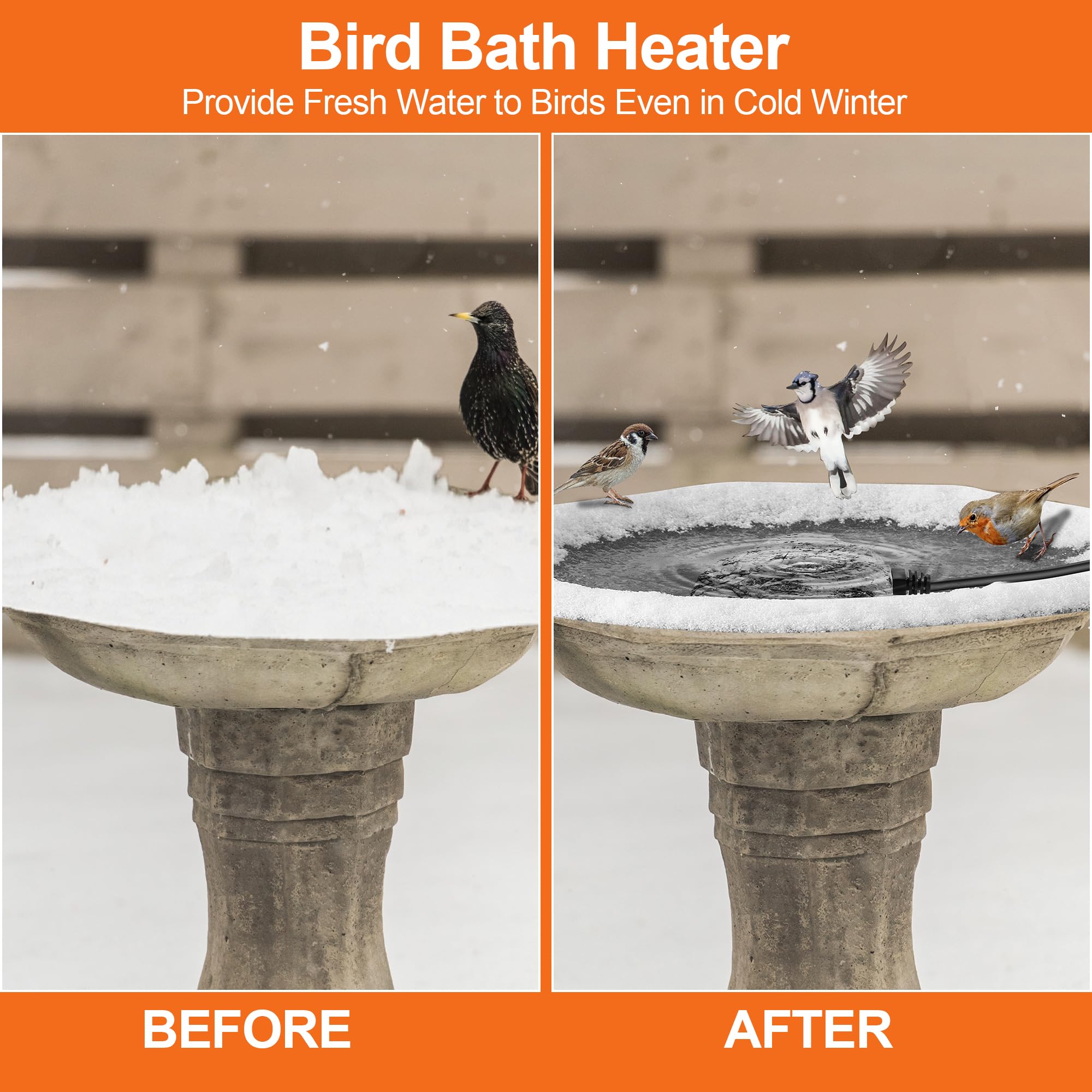 Saillong ice-melt action in buckets and troughs for winter resilience.