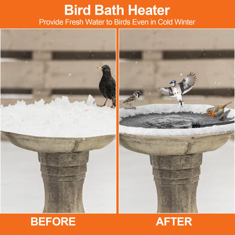 Saillong ice-melt action in buckets and troughs for winter resilience.