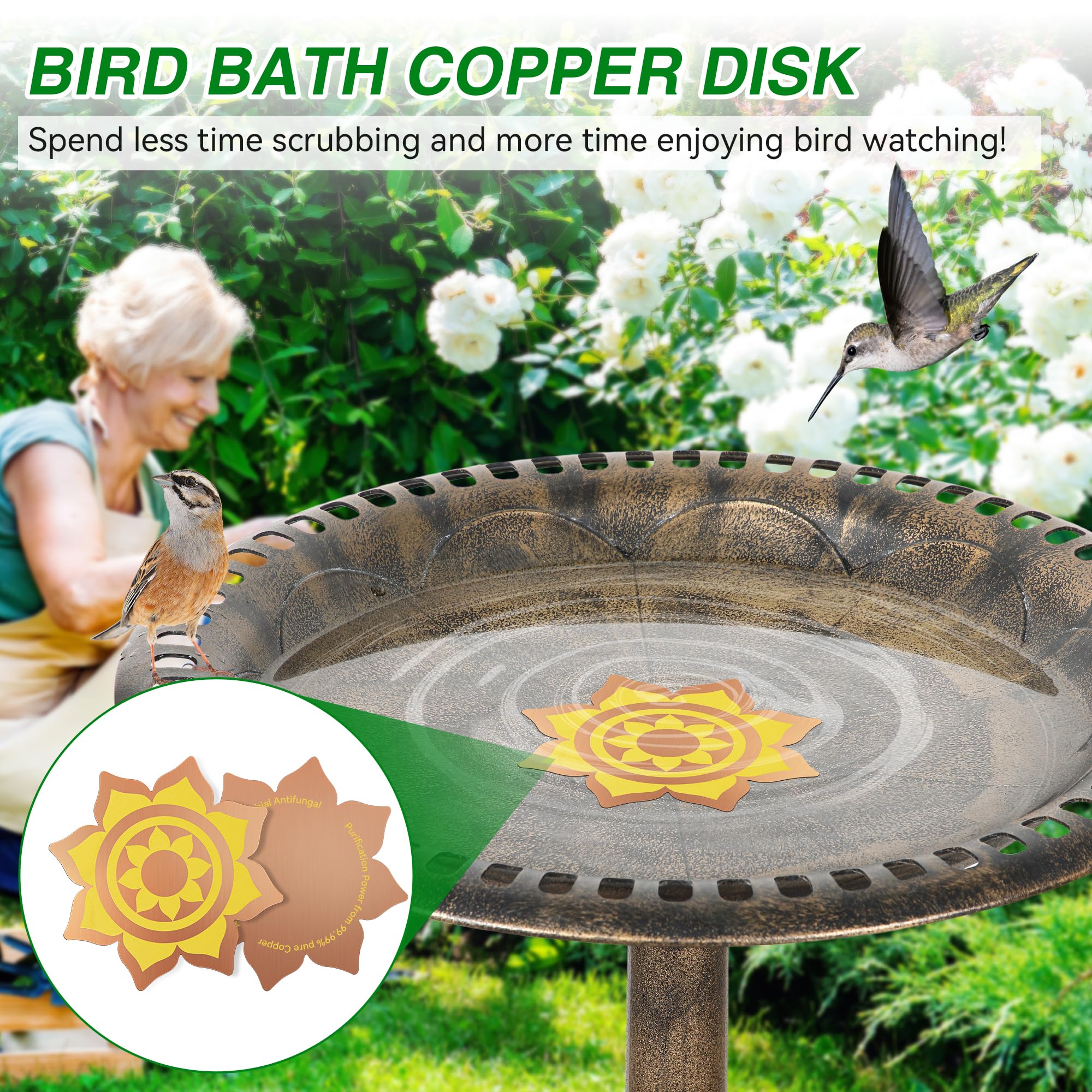 Saillong petal-design disk doubles as decorative and functional bird bath accessory.