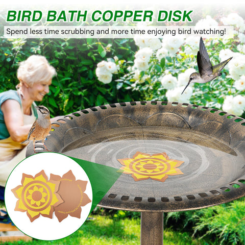 Saillong petal-design disk doubles as decorative and functional bird bath accessory.