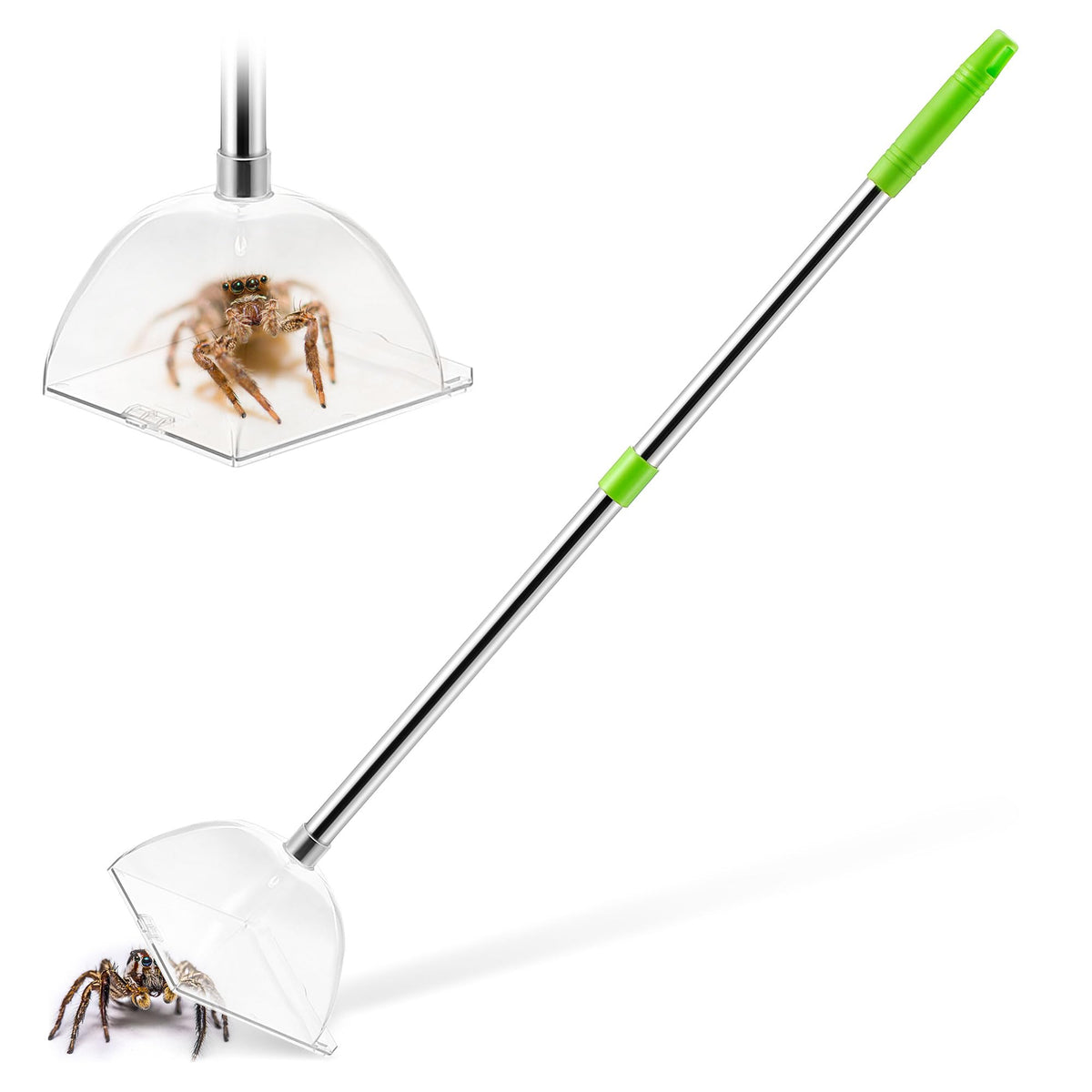 Saillong spider catcher with a 31-inch handle for distant, safe capture.