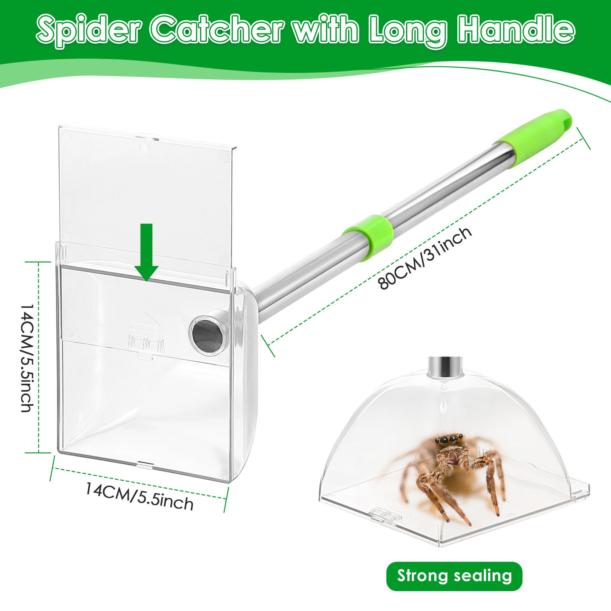 Saillong sealed catch box keeps captured spiders contained for outdoor release.
