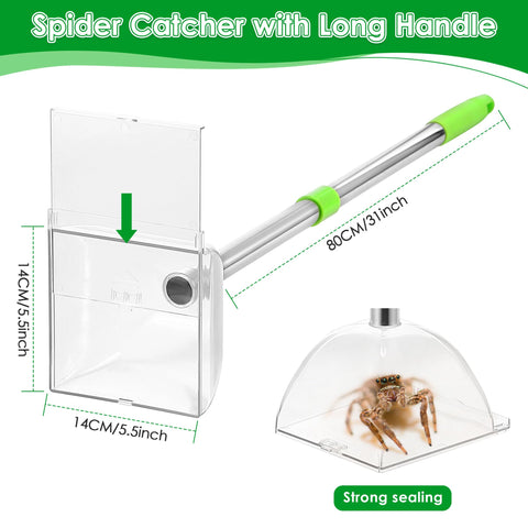 Saillong sealed catch box keeps captured spiders contained for outdoor release.