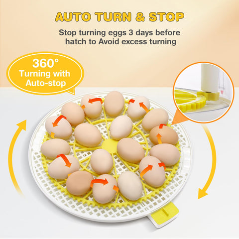 Sailnovo egg-turner in action demonstrating automatic turning.