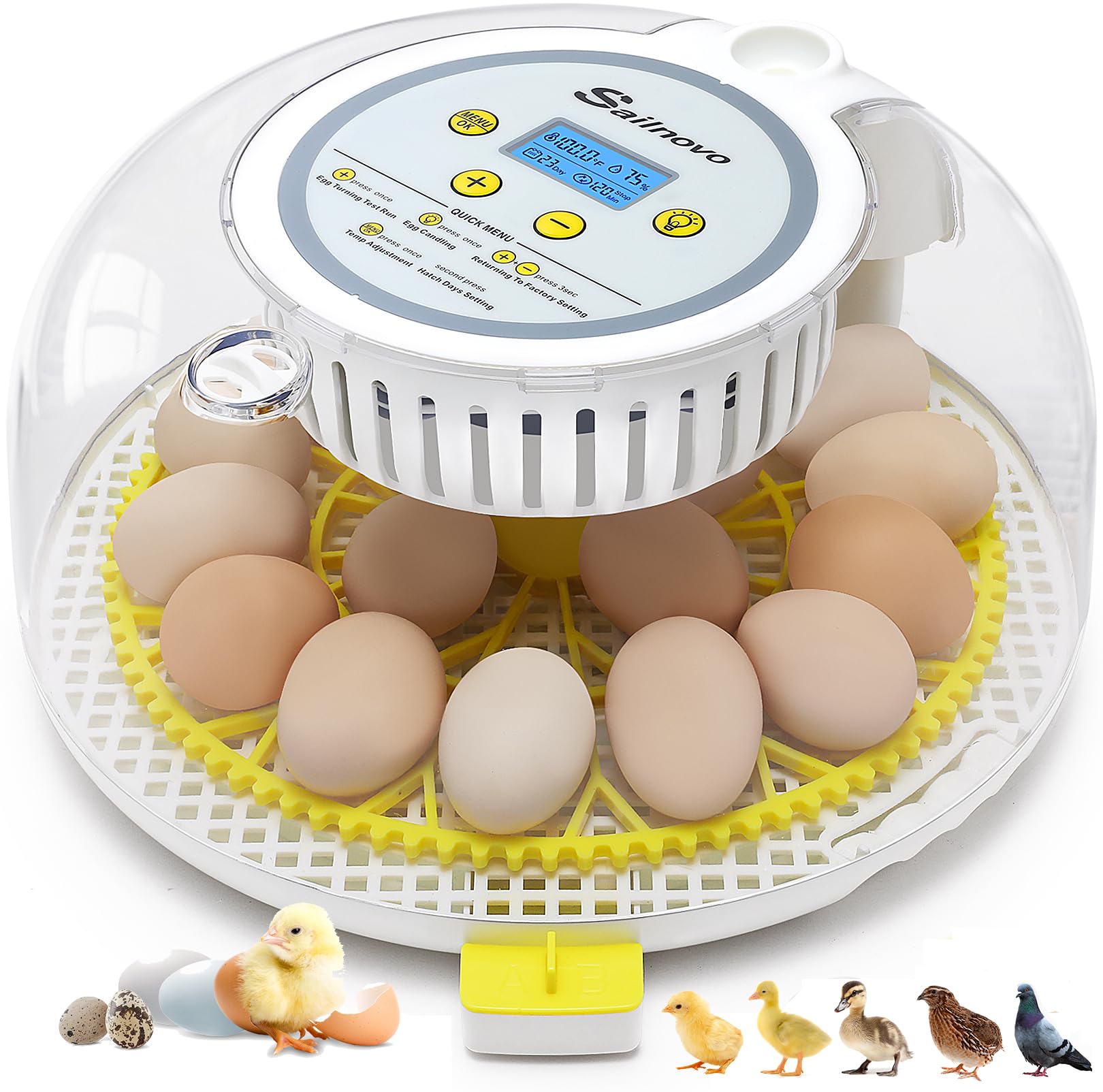 Sailnovo 18-egg incubator front view for compact classroom use.