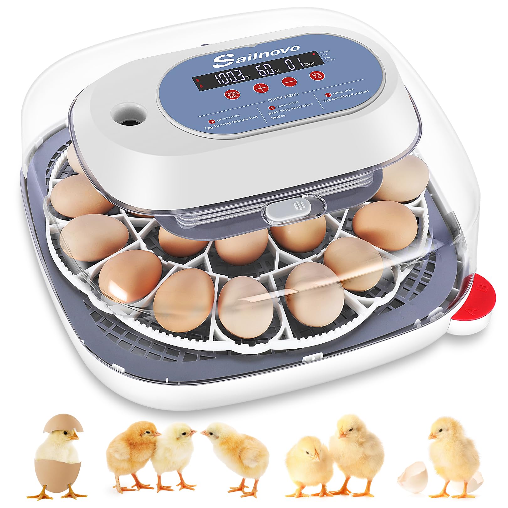 Sailnovo 24-egg incubator front view highlights beginner-friendly controls for easy setup
