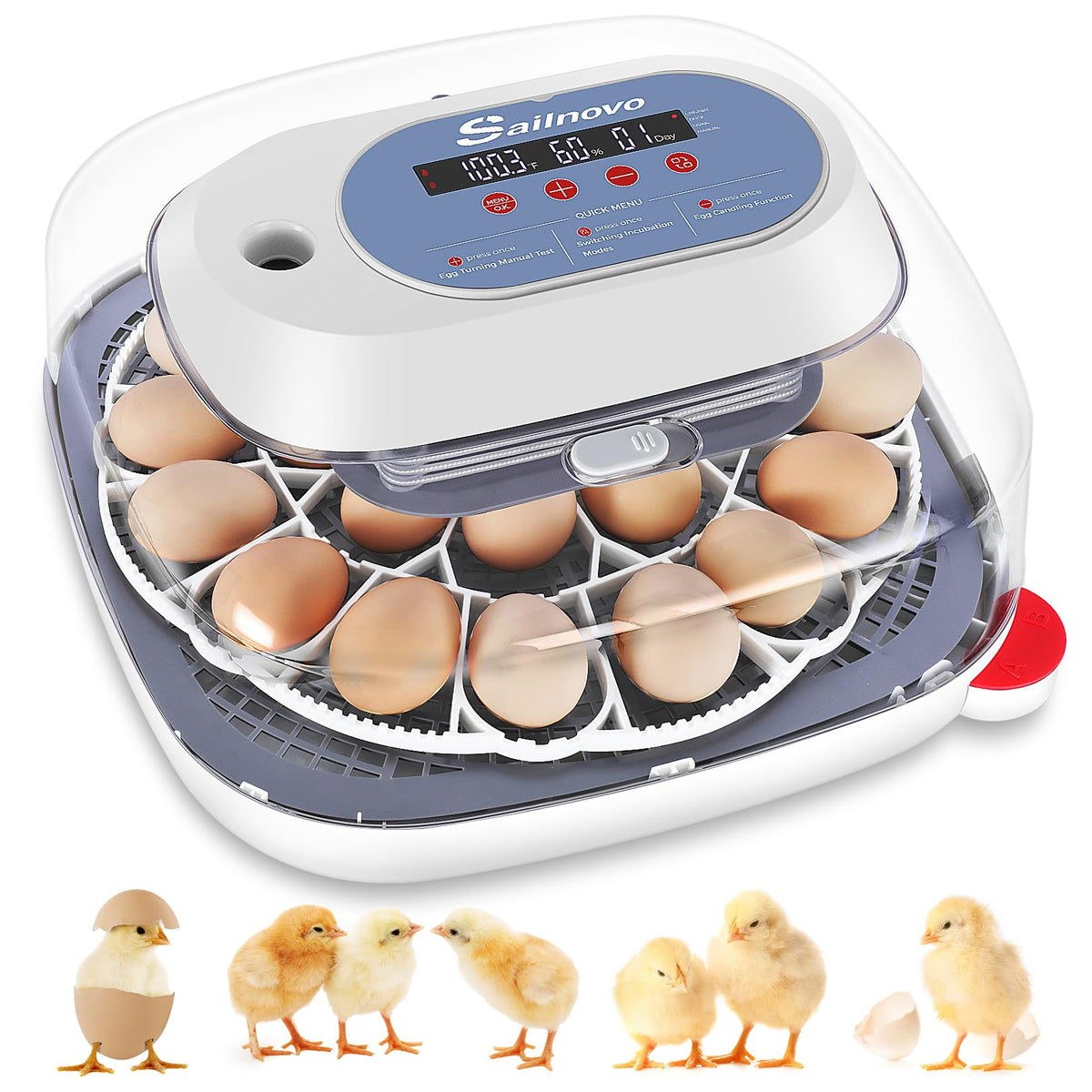 Sailnovo 24-egg incubator front view highlights beginner-friendly controls for easy setup