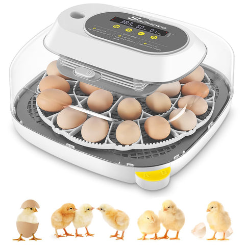 Sailnovo 24-egg incubator front view showing compact design for home use