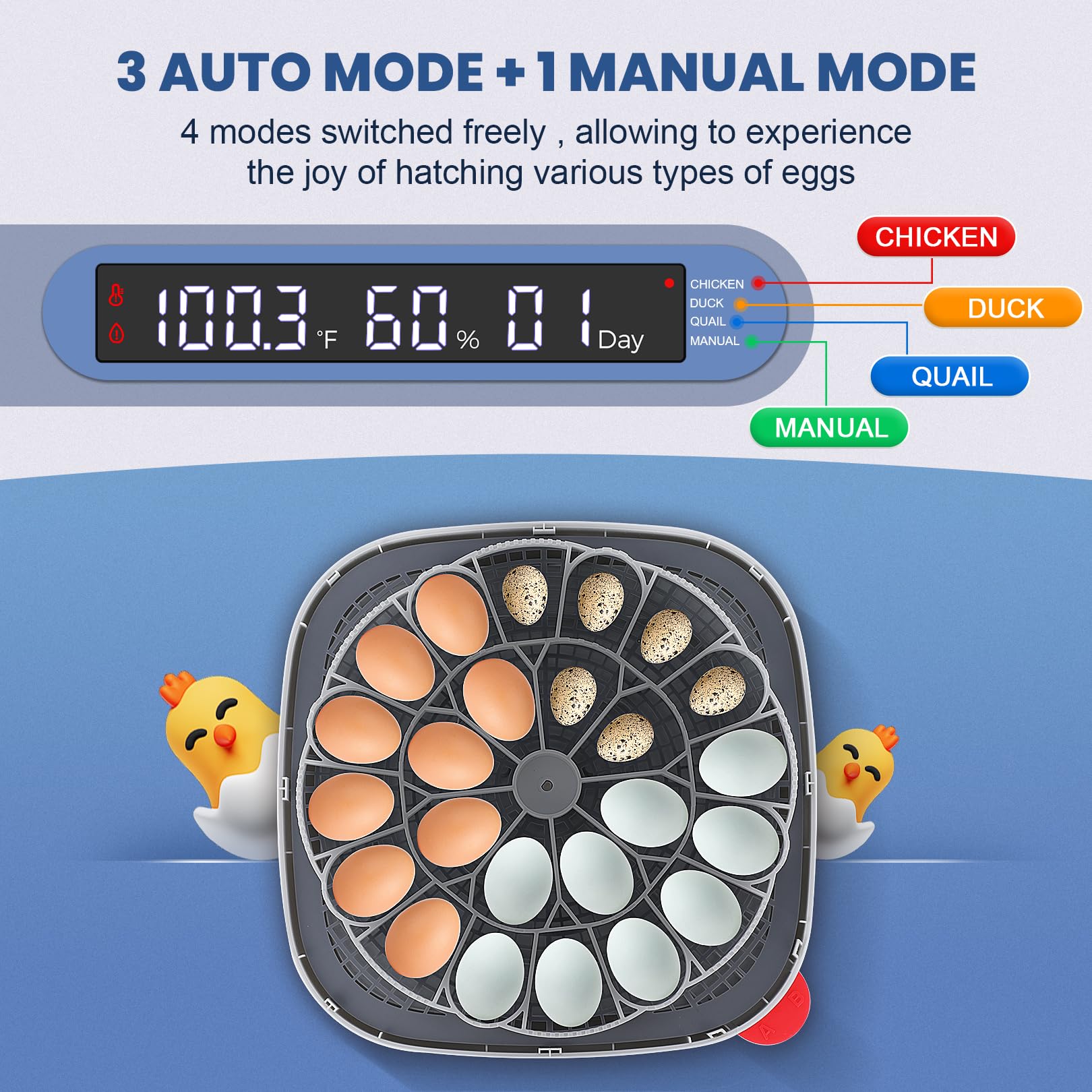 Sailnovo 360-view panel shows clear display for real-time temperature and humidity