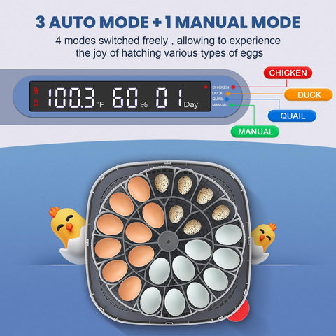 Sailnovo 360-view panel shows clear display for real-time temperature and humidity
