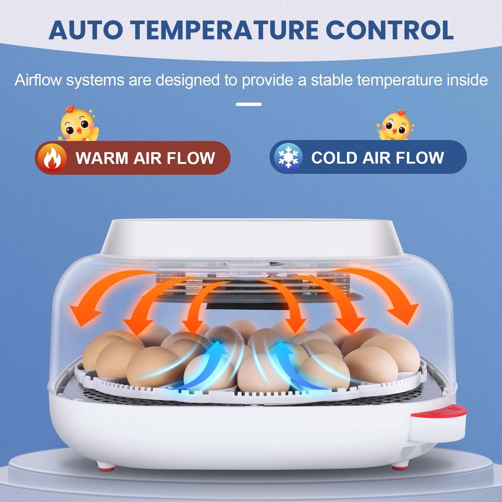 Sailnovo advanced circulation fan ensures stable temperature throughout the hatching chamber