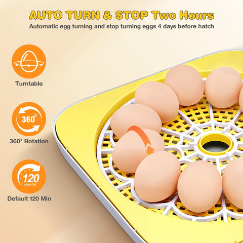 Sailnovo egg tray and grid keep eggs organized during incubation