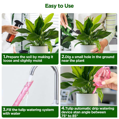SAIRFWOO self-watering duration shows 5–10 days of moisture.